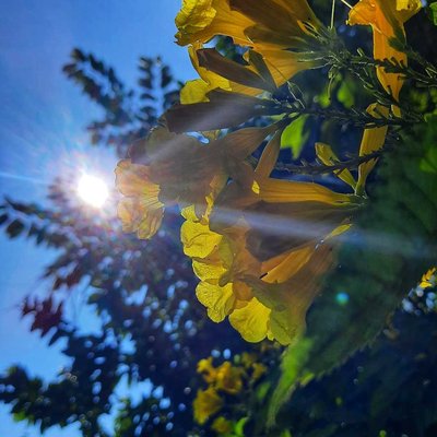 Natural photography 