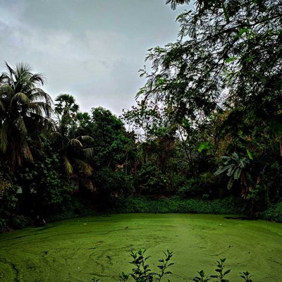 এই মেঘলা দিনে একলা ঘরে থাকেনা তো মন🌧️🌂