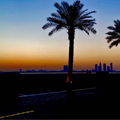 Dubai Skyline