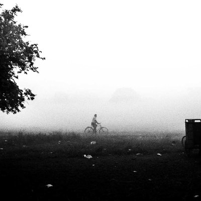 Misty Winter Morning