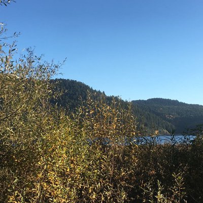 Abant gölü milli parkı 