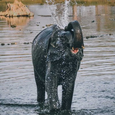 It's shower time 