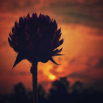 Lukisan senja🧡🧡