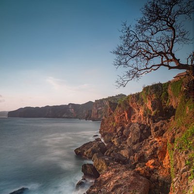 iconic tree at kesirat beach