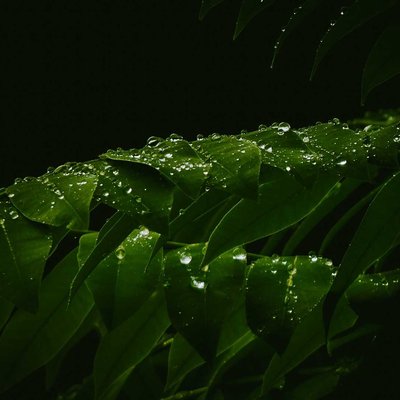 Droping hope