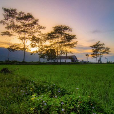 sunrise