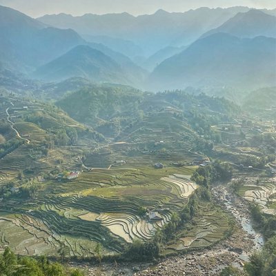 Rice Terrace in Sa Pa