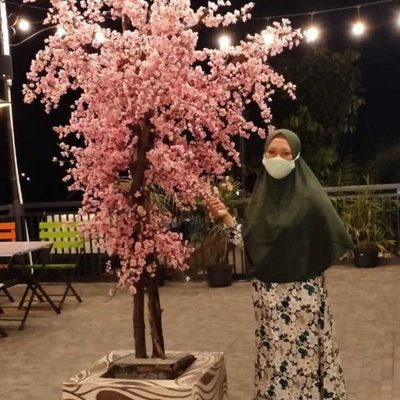 Dira balung