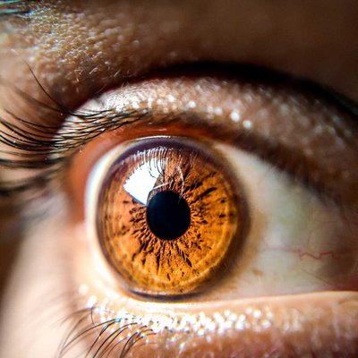 Human Eye