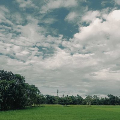 Fields