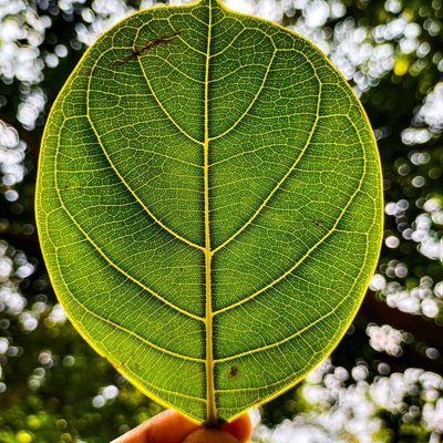🌱🌱🌱🌱