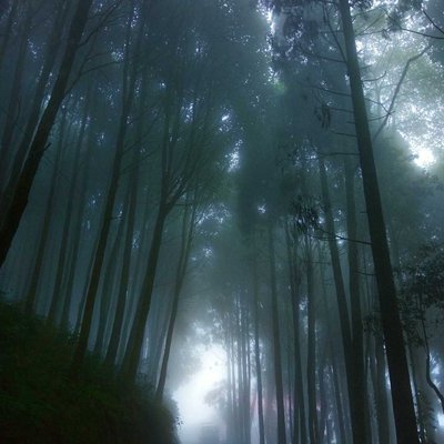 Beauty of Nature