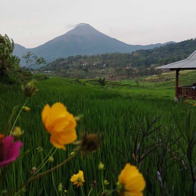 Cafe Cantik di Trawas