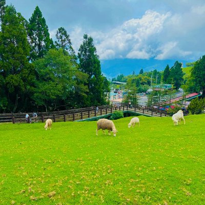 📍Qingjing Farm