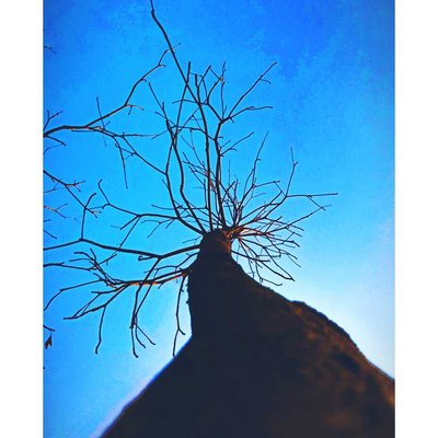 Nature 