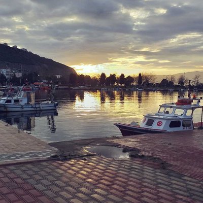the sunset