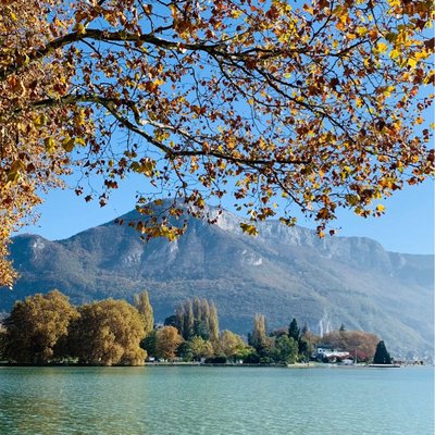 Lake and leaves