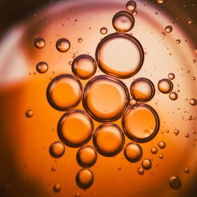 MACRO PHOTOGRAPHY 
