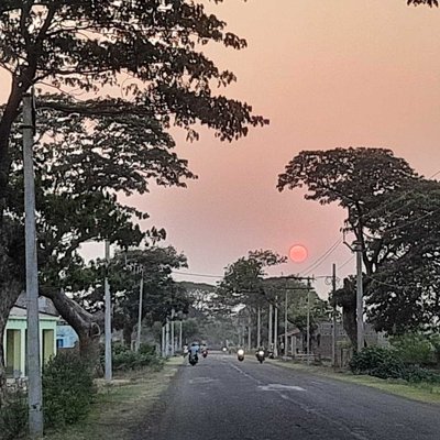 The Sunset