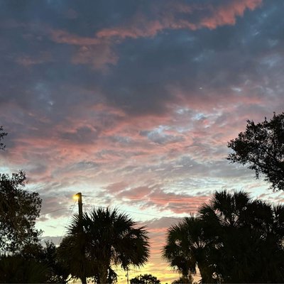 Florida Amanecer