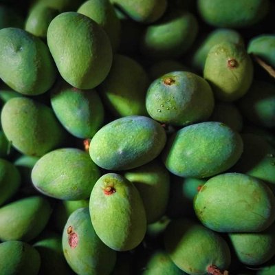 🥭