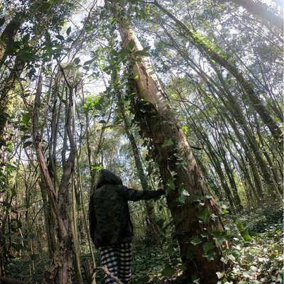 Parque Pereyra Iraola 