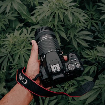 canon 200D 