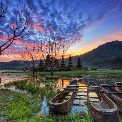 Vibrant Morning