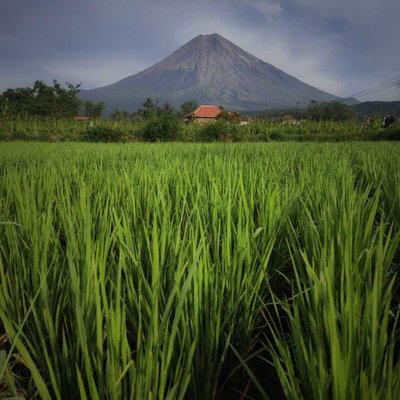 Lereng Gunung Semeru