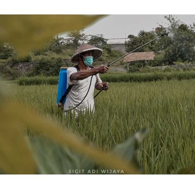 farmer