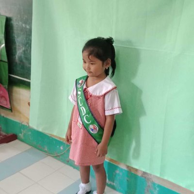 Pictorial