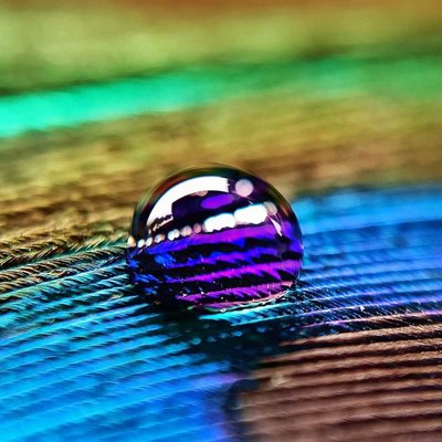 Macro 