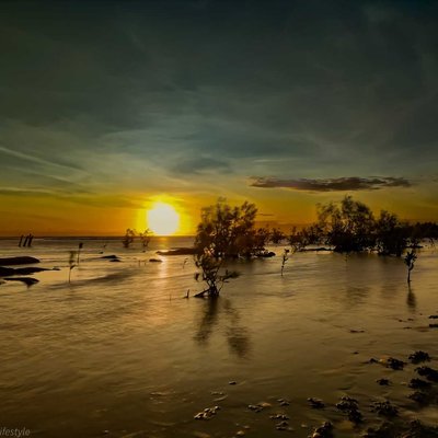Taman Bakau
