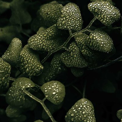Droplets 