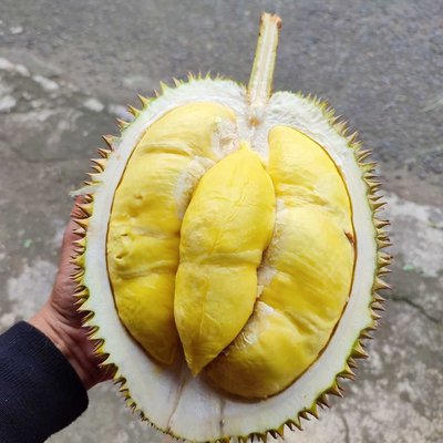 Durian