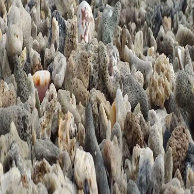 batu karang tersusun oleh alam
