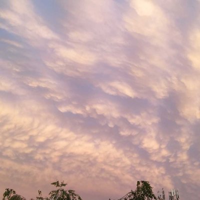 Pink and blue sky