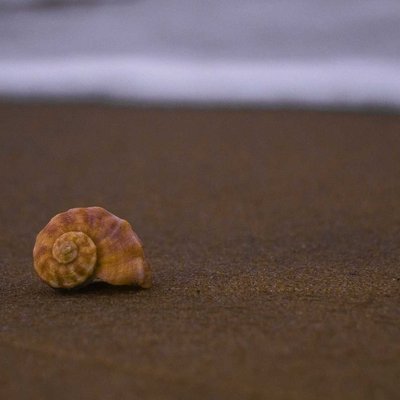 This is how we met at the coast of the Baby of Bengal 