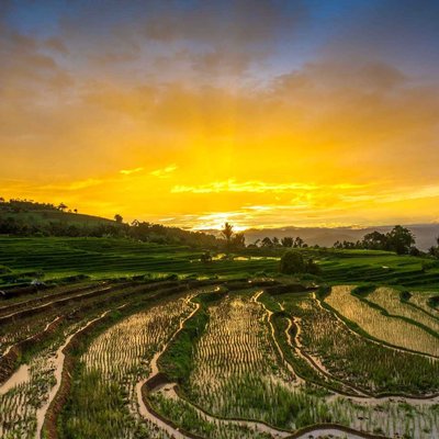 terasering sikabukabu