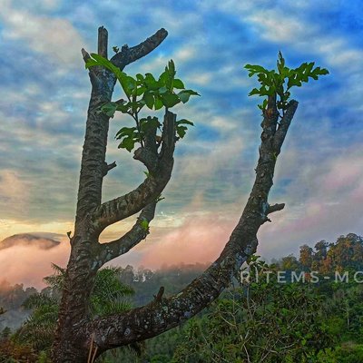 masih sunrise #2