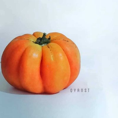 Tomat
