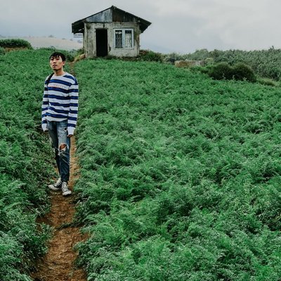 House In Vegetable Garden