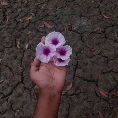 🌸