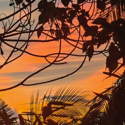 sunrise