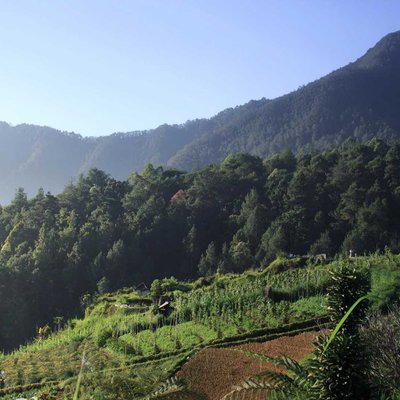 Wisata Wonomulyo