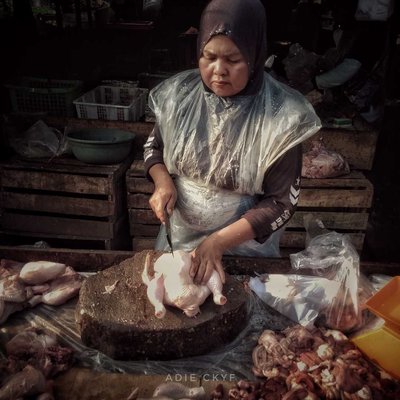 Pedagang Ayam Potong
