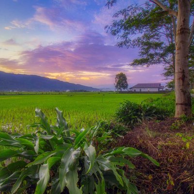 sunrise