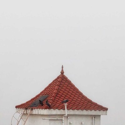 foggy morning