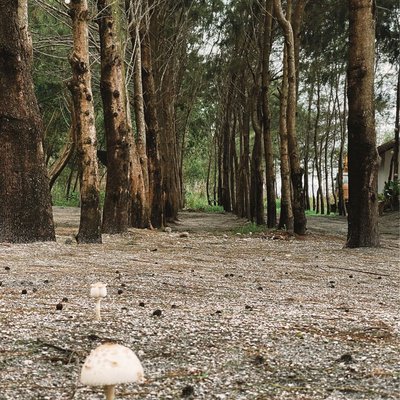 📍Liw-liwa 