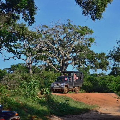 Yala National Park, Sri Lanka